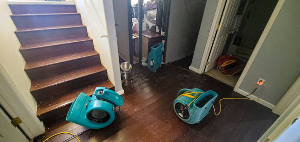 Water damage restoration insurance claims in Altavista, VA