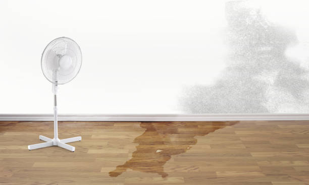 Best Emergency water damage restoration  in Altavista, VA