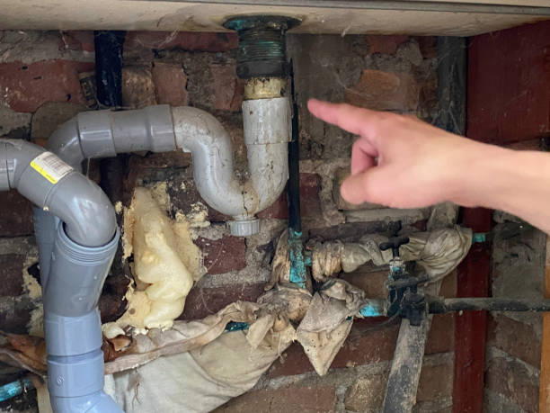 Best Water damage contractors near me  in Altavista, VA
