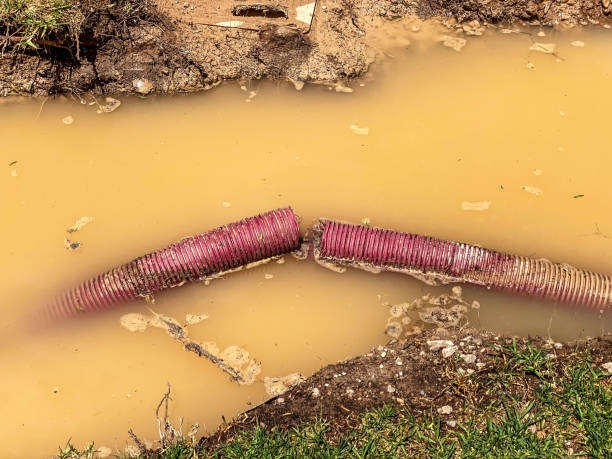 Water damage restoration mold remediation in Altavista, VA