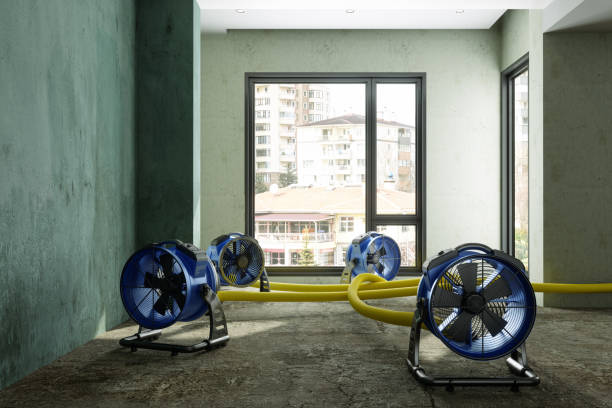 Best Emergency water damage restoration  in Altavista, VA