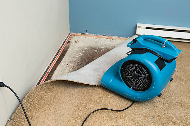 Best Basement water damage restoration  in Altavista, VA